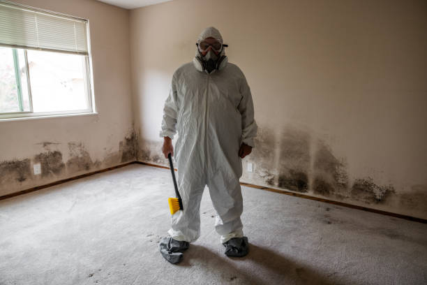Best Crawl Space Mold Remediation in Blackstone, VA